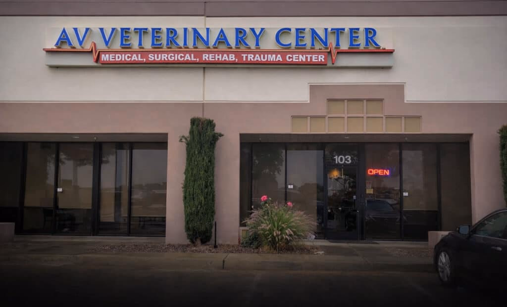 AV Veterinary Center in Lancaster, CA