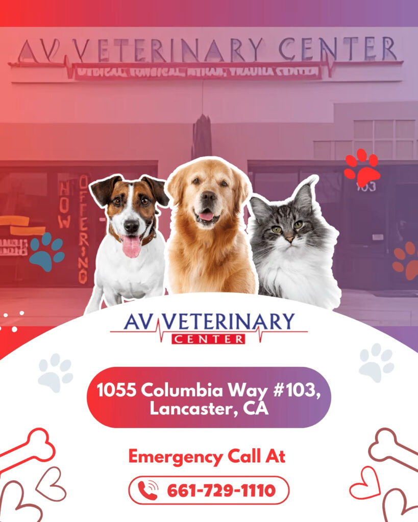 AV Emergency & Trauma Care - petcare partners