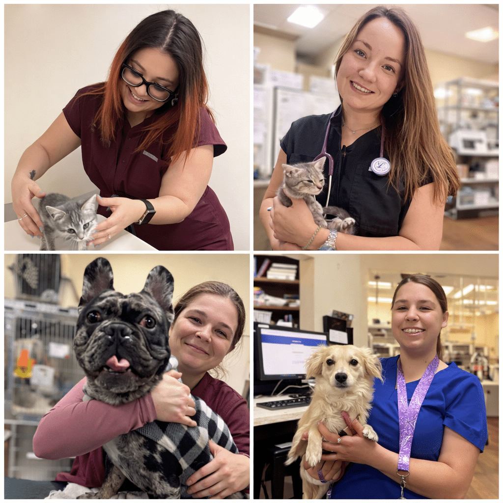 AV Veterinary Center - AV Veterinary Center Lancaster
