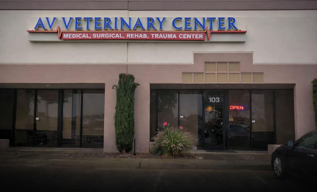 AV Veterinary Center - AV Veterinary Center Lancaster