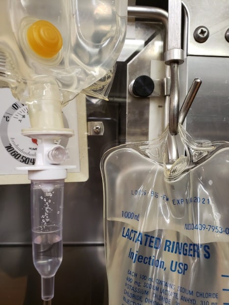 Canine Parvovirus (Parvo): Symptoms, Treatment, Survival, and Prevention What is the medical treatment for the canine Parvovirus in dogs?