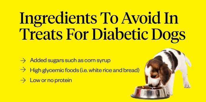 Canine Diabetes Mellitus: Causes, Symptoms, Diagnosis, Treatment, and Long-Term Care Proper care for the dogs