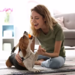 Cabin Fever in a Cast: 8 Ways to Keep Your Pet Happy During Strict Rest Cabin Fever in a Cast: 8 Ways to Keep Your Pet Happy During Strict Rest