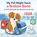 My Pet Might Have a Broken Bone: A First-Aid Guide for the Drive to the Vet My Pet Might Have a Broken Bone: A First-Aid Guide for the Drive to the Vet