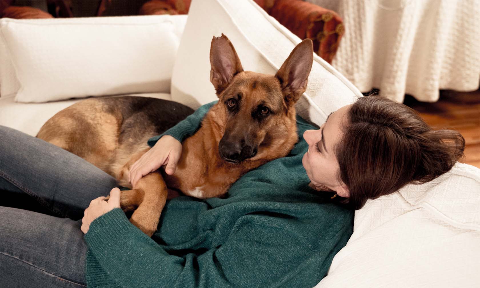 Fracture Prevention 101: 5 Ways to Make Your Home Safer for Your Pet 5 Ways to Make Your Home Safer for Your Pet