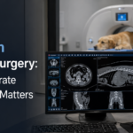 CT Scan Before Surgery: Why Accurate Diagnosis Matters CT Scan Before Surgery: Why Accurate Diagnosis Matters