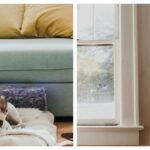 Fracture Prevention 101: 5 Ways to Make Your Home Safer for Your Pet Fracture Prevention 101: 5 Ways to Make Your Home Safer for Your Pet