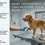 How Orthopedic Surgery Can Restore Your Pet's Mobility How Orthopedic Surgery Can Restore Your Pet's Mobility