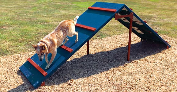Fracture Prevention 101: 5 Ways to Make Your Home Safer for Your Pet Organizing Your Outdoor/Play Areas