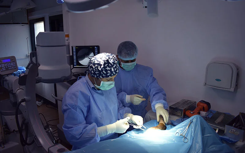 General Vet vs Specialized Surgical Center: What’s Better? Understanding the specialized surgical center