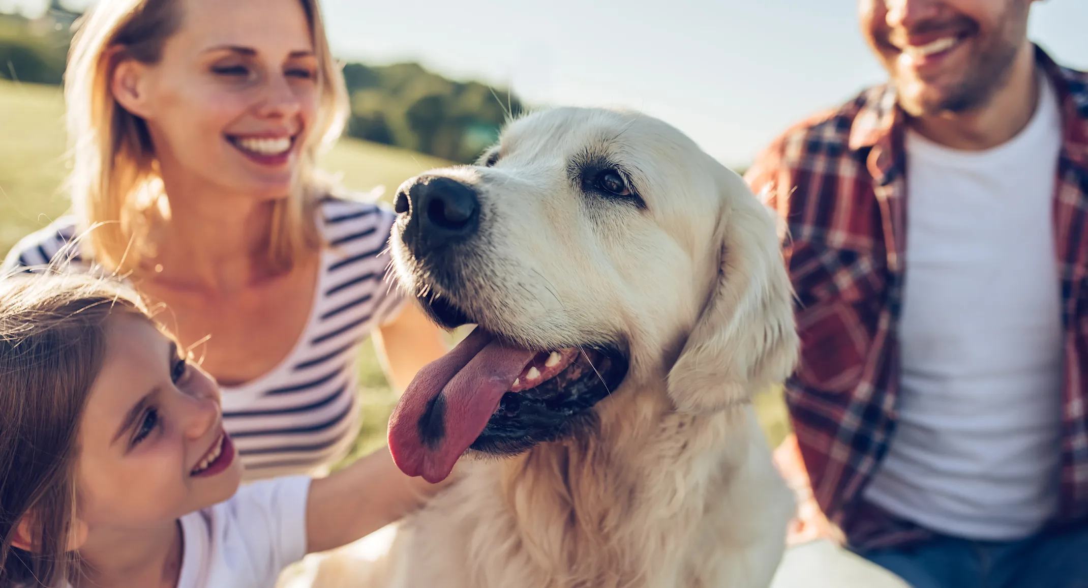 Emergency Symptoms Checklist: When to Rush for Surgery Why you should never ignore the symptoms in your pet