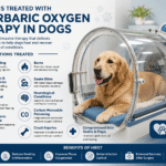 Conditions Treated With Hyperbaric Oxygen Therapy in Dogs Conditions Treated With Hyperbaric Oxygen Therapy in Dogs