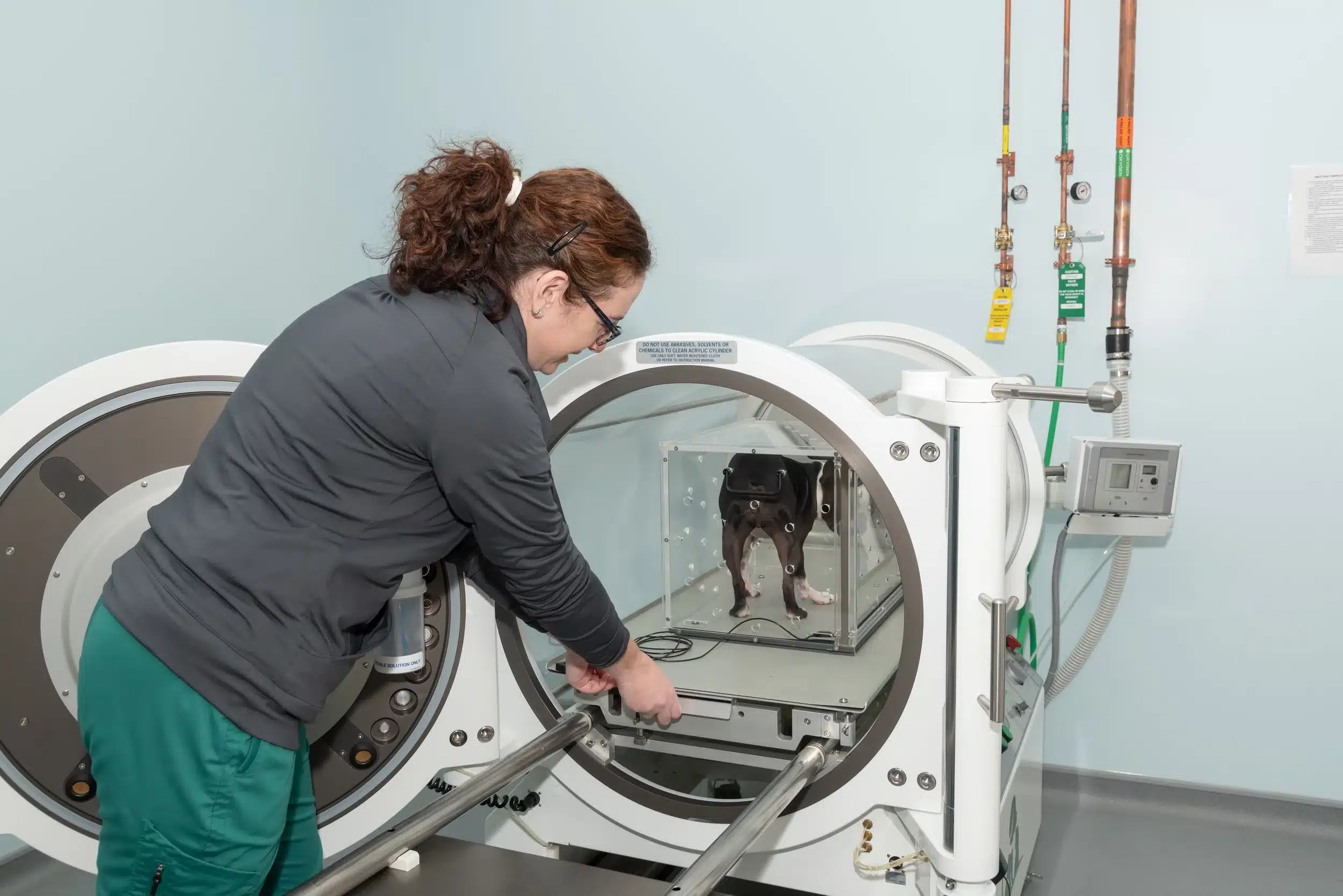 Conditions Treated With Hyperbaric Oxygen Therapy in Dogs The conditions treated with Hyperbaric Oxygen Therapy