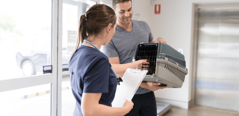 What to Do Before Arriving at an Emergency Vet Hospital WHAT TO DO BEFORE ARRIVING AT EMERGENCY VETS