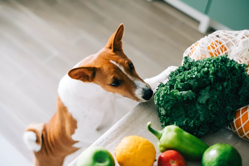Can Dogs Eat Fruits and Vegetables? Safe Options Explained - All Creatures Veterinary Center Why Fruits and Vegetables Can Be Good for Dogs